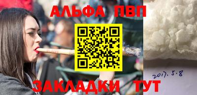 мет Кингисепп