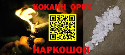 мет Кингисепп