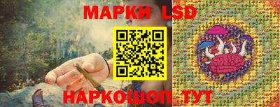 дмт Кинель