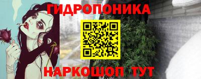 дмт Кинель